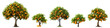 Set of orange trees with ripe delicious oranges, cut out