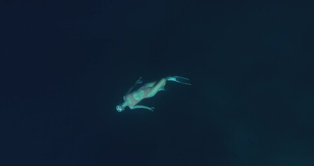 Wall Mural - Woman freediver with fins glides and enjoying on deep ocean. Freediving in blue ocean