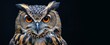 owl on a black background close-up portrait Generative AI
