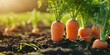 carrots in the ground Generative AI