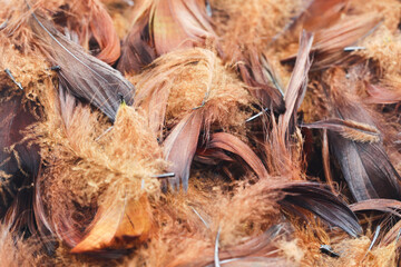 Wall Mural - Feathers background. Artificial decorative feathers texture. Soft cotton background. Fluffy bird feather. Various shapes. Brown color cotton wool pattern. Handmade decorations decoupage.