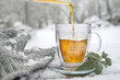 Hot herbal tea is poured in a glass cup outdoors in the snow, beside some sage leaves and a knitted scarf, medicinal herbs and home remedies against flu and cold in winter, copy space