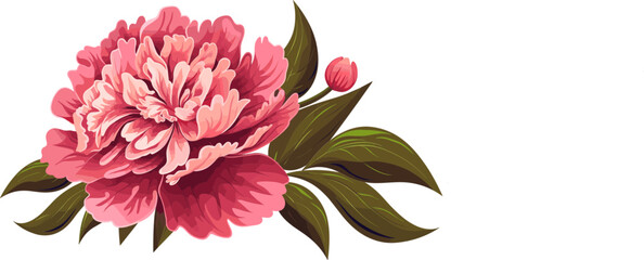 Wall Mural - Peony flower icon. Peonies on transparent background. Watercolor pink peony flowers. Realistic peony flowers with leaves . Hand drawn botanical floral decoration