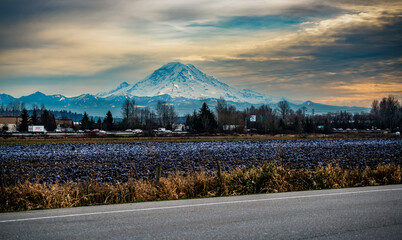 Wall Mural - Mount Rainier From Kent 3