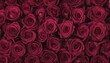 Deep bordeaux red roses top view background 