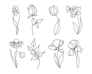 Sticker - Line drawing of flowers, set. Tulip, daffodil, rose, iris, chamomile, poppy. Line art, botanical decor elements