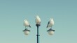  three seagulls are perched on top of a street light pole in front of a clear, blue sky.