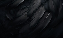 Detailed Black Feathers Texture Background