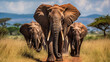Group of African elephants in the wild stock photo African Elephants , Generate AI