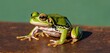  a green and black frog sitting on top of a piece of brown wood with a green wall behind it and a green wall behind the frog is looking at the camera.