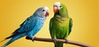  two green and blue parakeets sitting on a branch looking at each other with a yellow backround behind them and a yellow backround behind them.