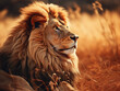 image of dangerous powerful lion with fluffy mane looking away in savanna 
