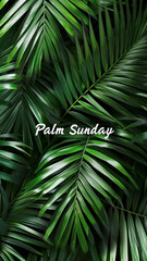 Wall Mural - The inscription - Palm Sunday on the background of intertwined palm leaves, vertical poster