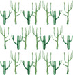cacti fabric pattern seamless