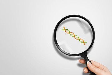 Wall Mural - checkup and research human dna gene chromosome molecule