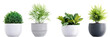 Four different flower pots with houseplants on transparent background, PNG