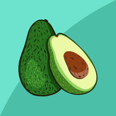 illustration of avocado