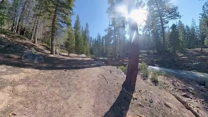 Sticker - Crossing Over Snow Creek on Wooden Bridge in Yosemite