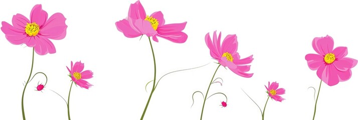 Sticker - A group of pink flowers on a white background.