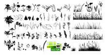 A Set Of Blades Of Grass. Hand Drawing. Not AI. Vector Illustration