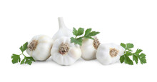 Fresh Garlic Heads And Parsley Isolated On White