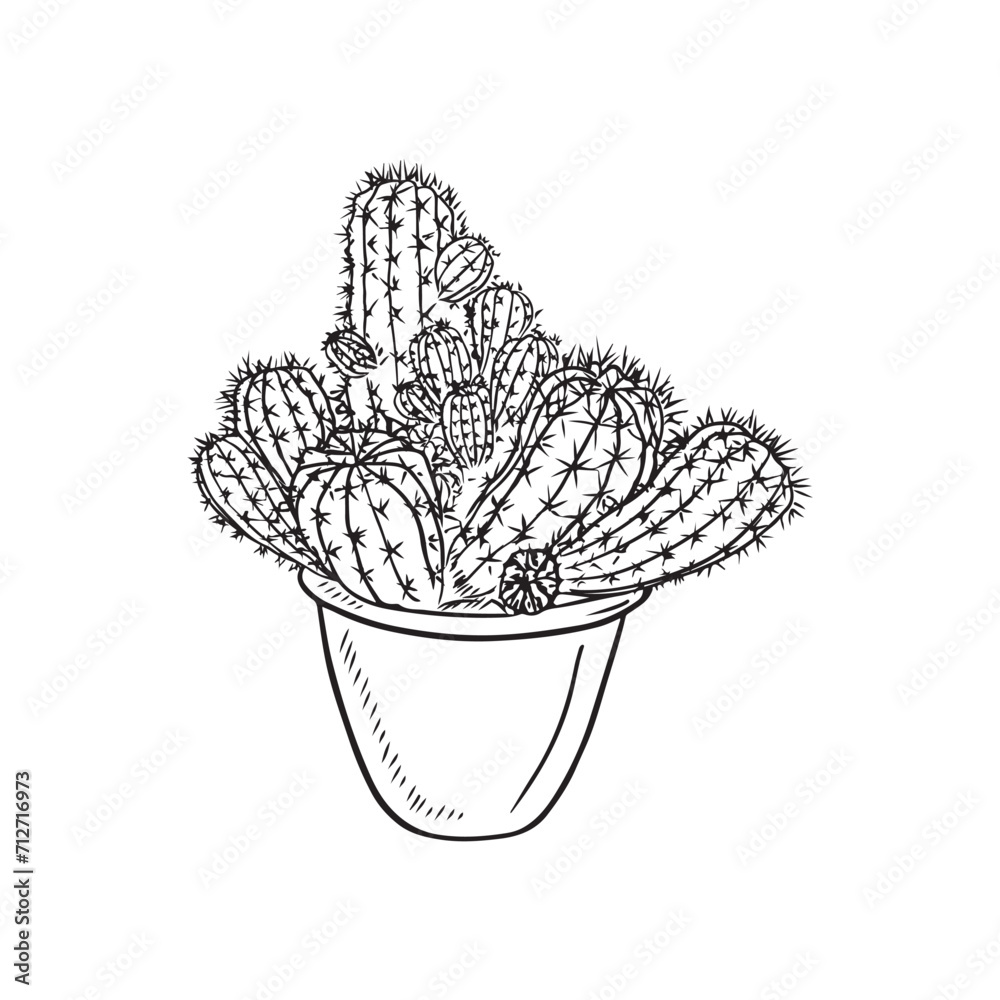 Realistic cactus plant Echinopsis, mammillaria in pot in black isolatd ...
