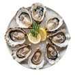 oysters on a plate isolated on transparent background