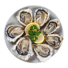 Wall Mural - oysters on a plate isolated on transparent background