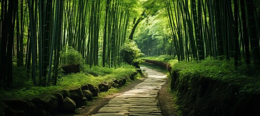  Serene natural habitat with lush sections of bamboo forest in the enchanting wilderness landscape