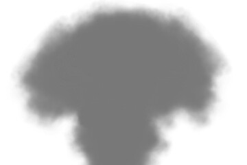 Wall Mural - black dust powder clouds isolated on transparent background. realistic smoke explosion background. s