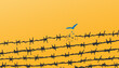 concept freedom, flight, breaking barriers, liberation, victory. barbed wire breaks and turns into a bird.