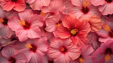 Tropical Hibiscus Flowers, Creating A Vibrant And Exotic Atmosphere Generative Ai
