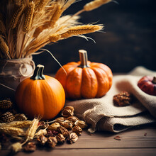 Fall Decor And Plants To Show Warm Autumn Tones, Plants And Dried Flowers For Fall Designs, Pumpkins