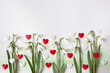Snowdrop flowers and red and white martenitsa hearts of the Martisor holiday on March 1 on a background of white paper.