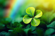 A green four-leaf clover with a rainbow background