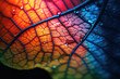 A closeup of a leaf, with its intricate veins and vibrant colors