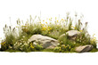A grassy hillside with a variety of wildflowers, grasses, and other plants, isolated on white background