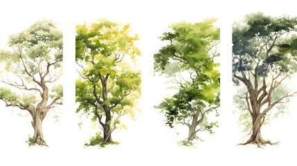 Four vertical of illustration watercolor style image frame sequence that show tree. Four different trees.
