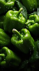 Canvas Print - green bell pepper