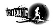 Boxing Banner Vector Illustration