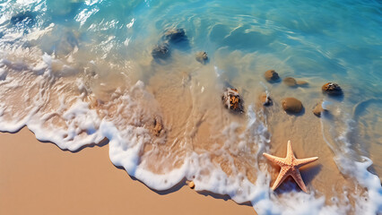 Wall Mural - Starfish on the sand beach in clear sea water.
