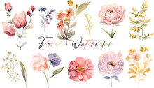 A Very Beautiful Collection Of Watercolor Flowers