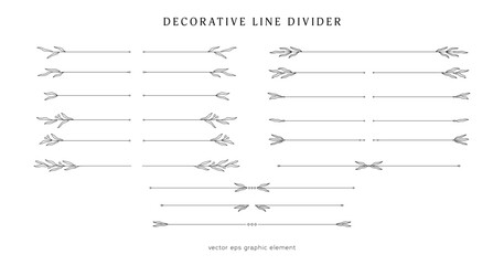 Poster - collection of decorative line divider for layout separator decoration element with nature leaf floral vine
