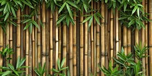 Bamboo Fence Background, Empty Space Surrounded With Green Bamboo Leaves.