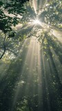 Fototapeta  - morning sun light rays piercing through the tree generated by ai