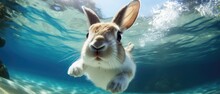 The Rabbit Is A Domestic Rabbit, Which Is A Species Of Rabbit That Is Bred For Pets, Ai Generated