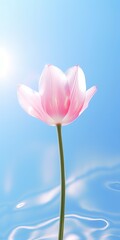 Sticker - An image of a tulip with the sun shining behind it, in the style of light sky-blue and light pink.