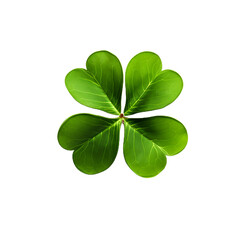 A single four-leaf clover isolated on a transparant background