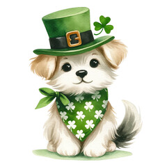 Wall Mural - Watercolor Cute animal st.patrick day irish costume Clipart Illustration 