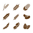 Various types of rice and beans icons. Contains rice, corn, sorghum, wheat, barley, soybeans, mung beans, peanuts and almonds.